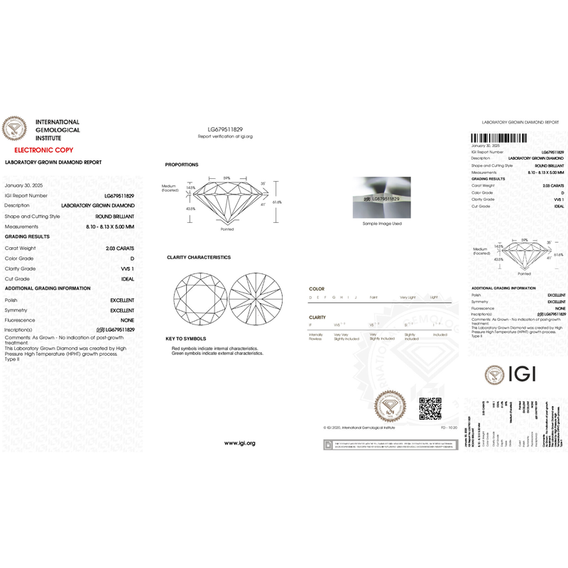 ANSTER Platinum Jewelry PT950 Ring 1ct VVS2 CVD Lab Grown Diamond Ring with IGI