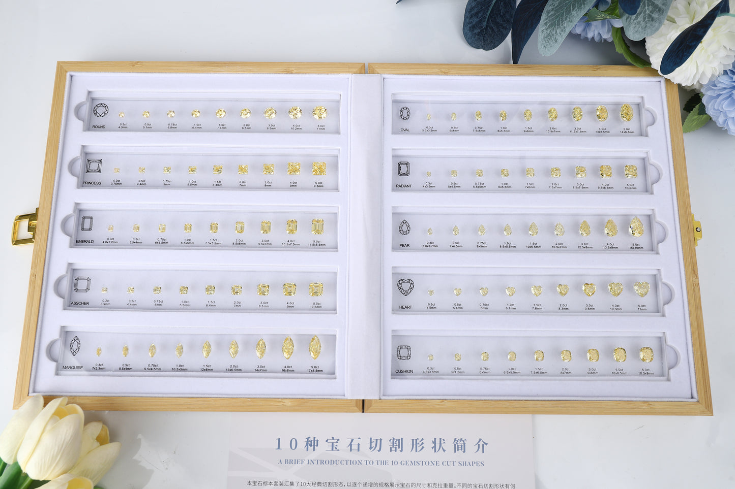 ANSTER JEWELRY Diamond Size Comparison Chart Jewelry Tools with Box Cubic Zirconia Gemstone Shape Chart