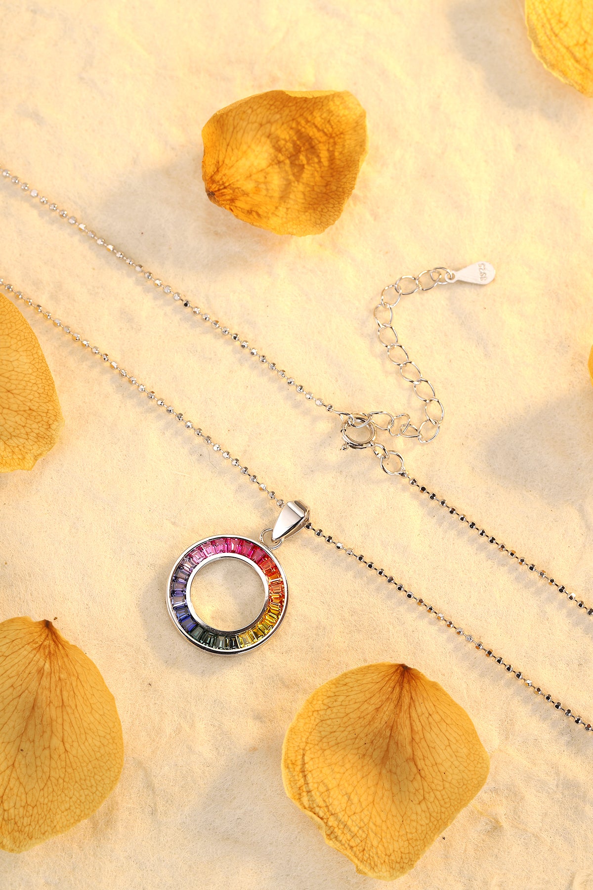 ANSTER Jewelry Princess Lab Grown Rainbow Slinky S925 Necklace plated